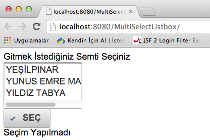 Sayfa ilk açıldığında hir hat seçili olmadığı için Seçim Yapılmadı yazısı çıkıyor.