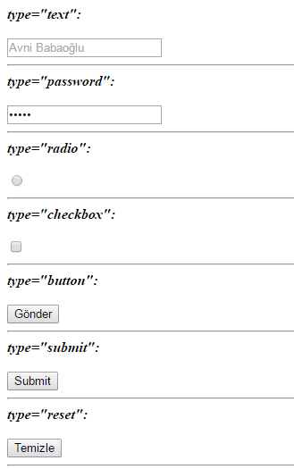 html5-input-type1